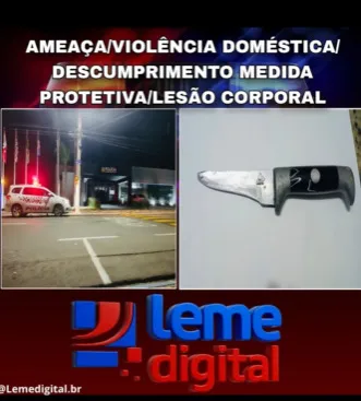 VIOLÊNCIA DOMÉSTICA.