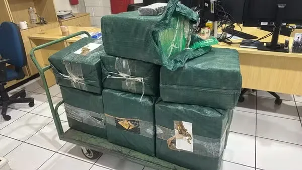 Cerca de 350 kg de cocaína são apreendidos em caminhão na Rodovia Washington Luís